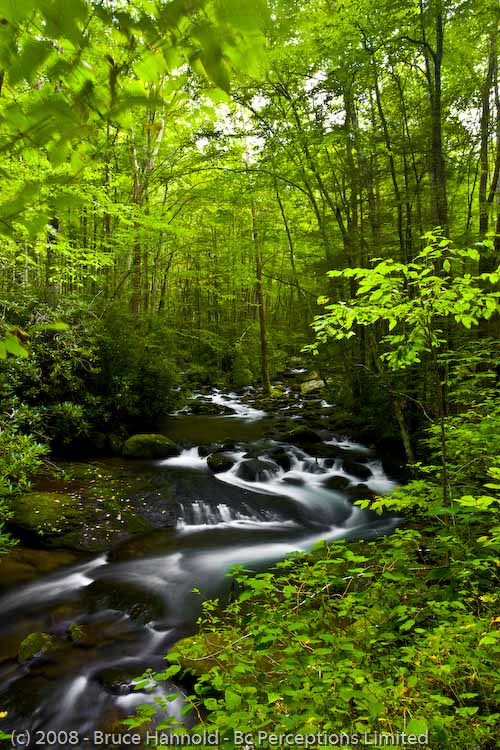 HIDDEN STREAM